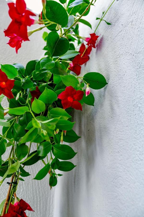 Antonella Home B&B Бари Екстериор снимка